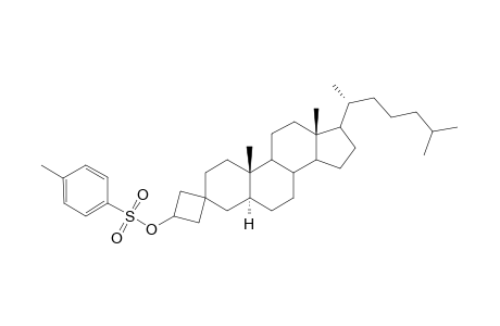 3'-.epsilon.-Tosyloxy-spiro[cholestane-3,1'-cyclobutane]
