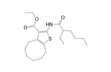 ethyl 2-[(2-ethylhexanoyl)amino]-4,5,6,7,8,9-hexahydrocycloocta[b]thiophene-3-carboxylate