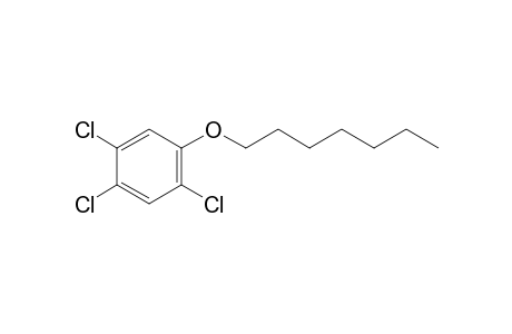 2,4,5-Trichlorophenyl heptyl ether