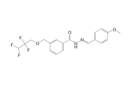 N'-[(E)-(4-methoxyphenyl)methylidene]-3-[(2,2,3,3-tetrafluoropropoxy)methyl]benzohydrazide