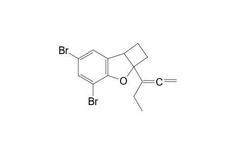 4,6-dibromo-2a-(1-ethylpropa-1,2-dienyl)-2,7b-dihydro-1H-cyclobuta[b]benzofuran