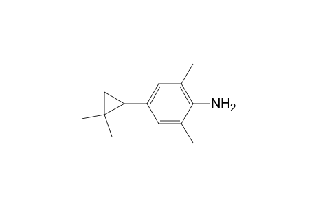 Benzenamine, 4-(2,2-dimethylcyclopropyl)-2,6-dimethyl-