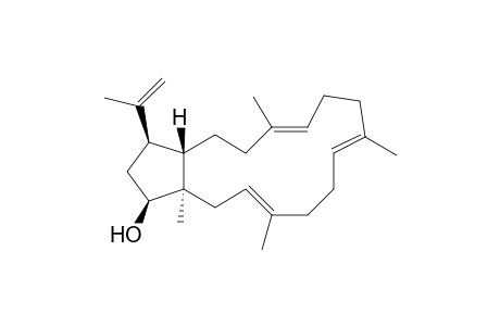 16-Hydroxycalidoustatetraene