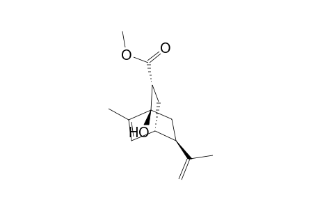 Methyl (1R,4R,5R,7S)-5-endo-7-exo-4-hydroxy-7-isopropyl-3-methylbicyclo[2.2.2]oct-2-en-5-carboxylate