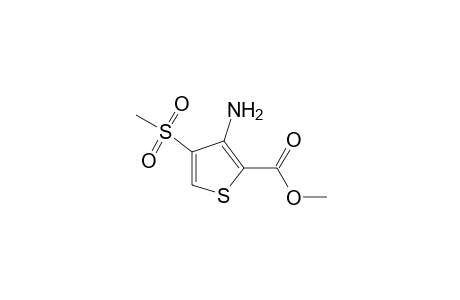 3-amino-4-(methylsulfonyl)-2-thiophenecarboxylic acid, methyl ester