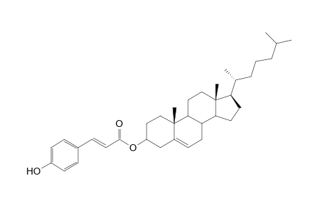 Cholesteryl - 4-Hydroxycinnamate