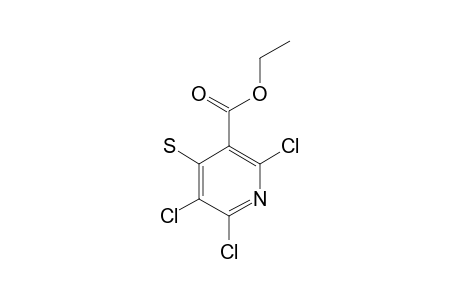 4-MERCAPTO-2,5,6-TRICHLORO-3-ETHOXYCARBONYLPYRIDINE