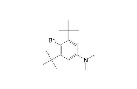 2-BROMO-1,3-DI-TERT.-BUTYL-5-(DIMETHYLAMINO)-BENZENE