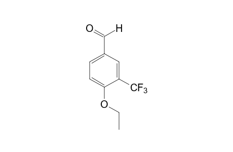 4-Ethoxy-3-(trifluoromethyl)benzaldehyde