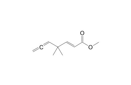 (2E)-4,4-dimethylhepta-2,5,6-trienoic acid methyl ester