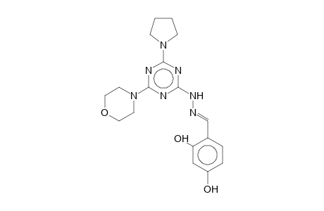 2-[(2,4-Dihydroxybenzylidene)hydrazino]-4-morpholino-6-(1-pyrrolidinyl)-1,3,5-triazine