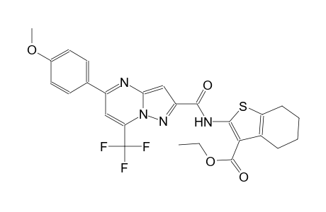 benzo[b]thiophene-3-carboxylic acid, 4,5,6,7-tetrahydro-2-[[[5-(4-methoxyphenyl)-7-(trifluoromethyl)pyrazolo[1,5-a]pyrimidin-2-yl]carbonyl]amino]-