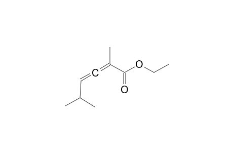 Ethyl 2,5-dimethylhexa-2,3-dienoate