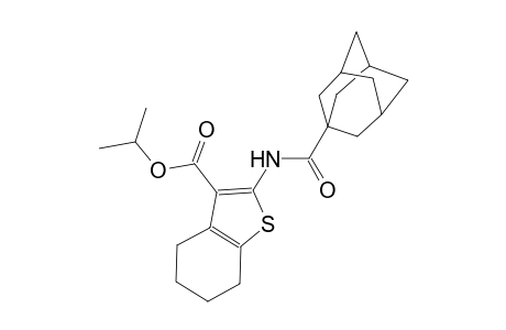 isopropyl 2-[(1-adamantylcarbonyl)amino]-4,5,6,7-tetrahydro-1-benzothiophene-3-carboxylate