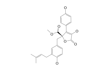 BUTYROLACTONE-I