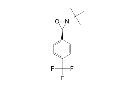 E-2-TERT.-BUTYL-3-(4-TRIFLUORMETHYLPHENYL)-OXAZIRIDIN