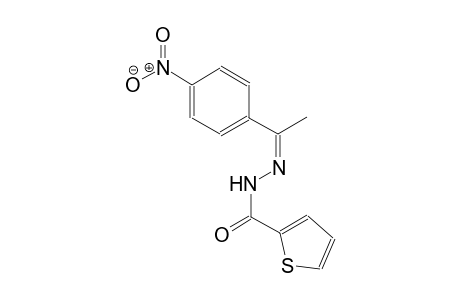 N'-[(Z)-1-(4-nitrophenyl)ethylidene]-2-thiophenecarbohydrazide