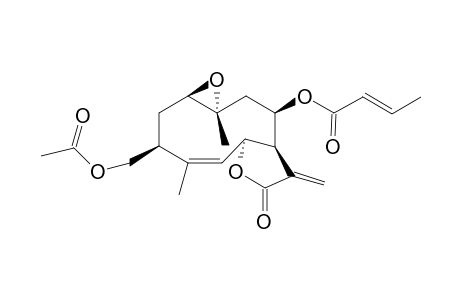 Leptocarpia - acetate