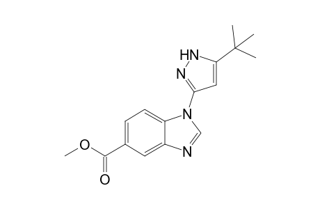 Methyl 1-(5-tert-butyl-1H-pyrazol-3-yl)-1H-benzimidazole-5-carboxylate