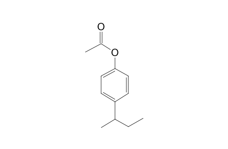 4-Sec-butylphenyl acetate