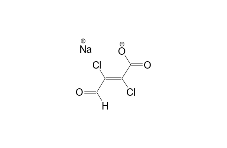 SODIUM 2,3-DICHLORO-3-FORMYLACRYLATE