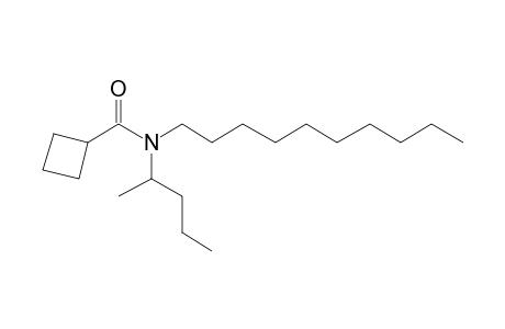 Cyclobutanecarboxamide, N-(2-pentyl)-N-decyl-