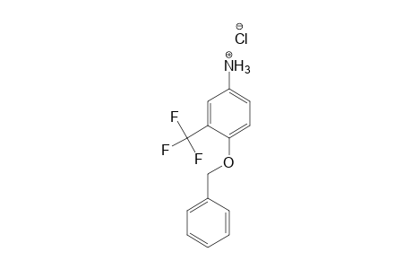 Benzenamine, 4-(phenylmethoxy)-3-(trifluoromethyl)-, hydrochloride