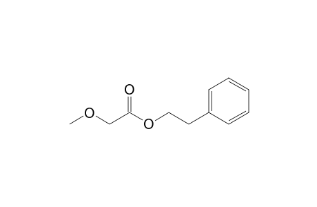 Acetic acid, methoxy-, 2-phenylethyl ester