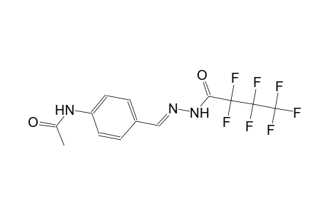 butanoic acid, 2,2,3,3,4,4,4-heptafluoro-, 2-[(E)-[4-(acetylamino)phenyl]methylidene]hydrazide
