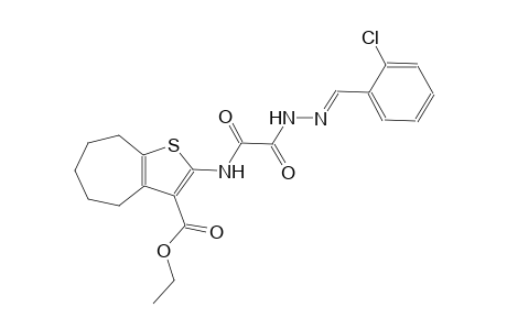 ethyl 2-{[[(2E)-2-(2-chlorobenzylidene)hydrazino](oxo)acetyl]amino}-5,6,7,8-tetrahydro-4H-cyclohepta[b]thiophene-3-carboxylate
