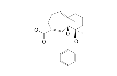 KUBUBASCHIC ACID BENZOATE