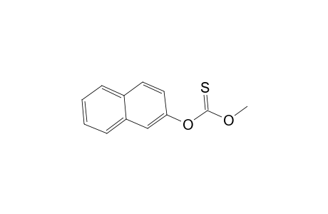Carbonic acid, thio-, O-methyl O-2-naphthyl ester