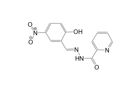 N'-[(E)-(2-hydroxy-5-nitrophenyl)methylidene]-2-pyridinecarbohydrazide