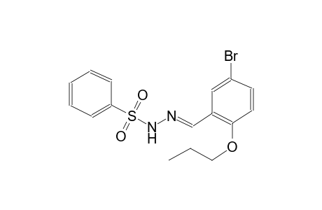 N'-[(E)-(5-bromo-2-propoxyphenyl)methylidene]benzenesulfonohydrazide