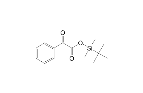 Phenylglyoxylic acid, tert.-butyldimethylsilyl ester