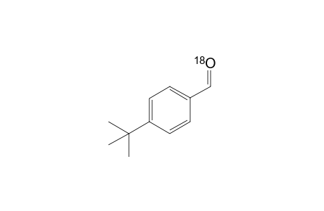 labeled p-tert-Butylbenzaldehyde