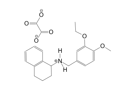 N-(3-ethoxy-4-methoxybenzyl)-1,2,3,4-tetrahydronaphthalen-1-aminium oxalate
