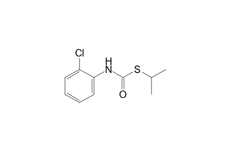 o-chlorothiocarbanilic acid, S-isopropyl ester