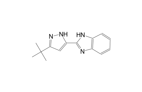 2-(3-tert-butyl-1H-pyrazol-5-yl)-1H-benzimidazole