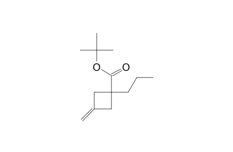 Cyclobutanecarboxylic acid, 3-methylene-1-propyl-, 1,1-dimethylethyl ester