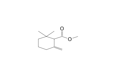 Cyclohexanecarboxylic acid <2,2-dimethyl-, 6-methylene-, methyl-> ester