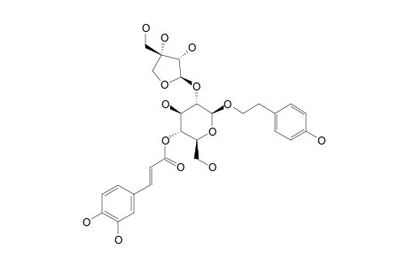 BETA-(4-HYDROXYPHENYL)-ETHYL-4-O-E-CAFFEOYL-O-[BETA-D-APIOFURANOSYL-(1->2)]-BETA-D-GLUCOPYRANOSIDE