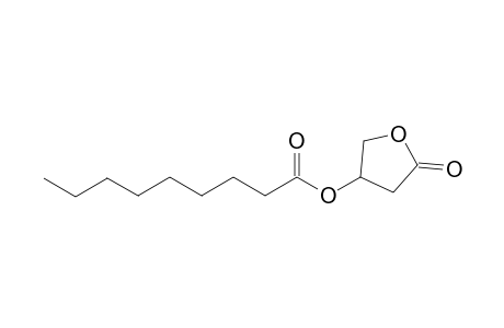 Nonanoylcarnitine oxylactone