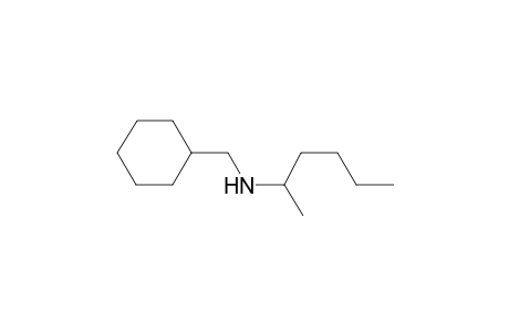 Pentanamine, N-cyclohexylmethyl-1-methyl-