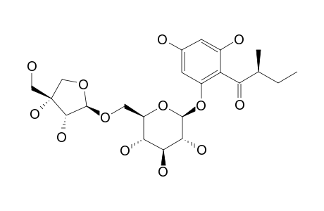 2-(2-METHYLBUTYRYL)-PHLOROGLUCINOL-1-O-(6''-O-BETA-D-APIOFURANOSYL)-BETA-D-GLUCOPYRANOSIDE