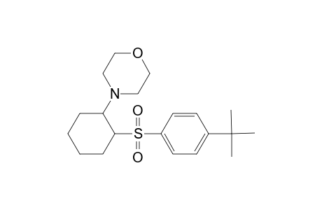 4-[2-(4-tert-butylphenyl)sulfonylcyclohexyl]morpholine