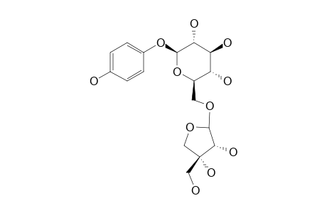 SEGUINOSIDE-B;6'-O-BETA-D-APIOFURANOSYLARBUTIN