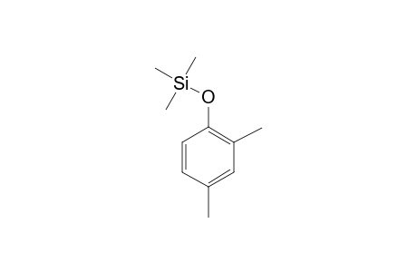 Phenol <2,4-dimethyl->, mono-TMS