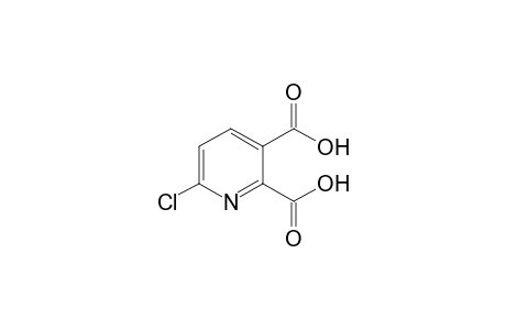6-Chloropyridine-2,3-dicarboxylic acid