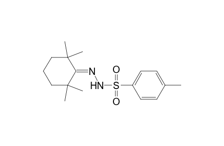 2,2,6,6-Tetramethylcyclohexanone-p-tolylsulphonylhydrazone